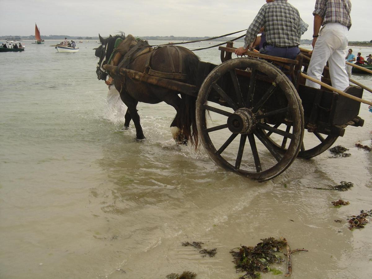 לינה וארוחת בוקר סן תיונה Ty Dreux Entre Terre Et Mer מראה חיצוני תמונה